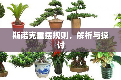 斯诺克重摆规则图片
