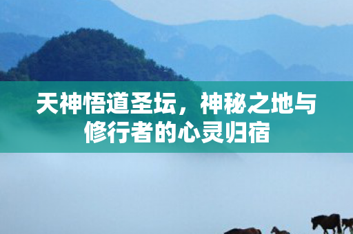 神秘之地与修行者的心灵归宿图片