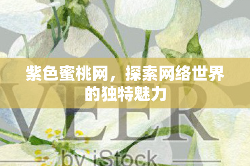 探索网络世界的独特魅力图片