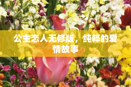 公主恋人无修版图片