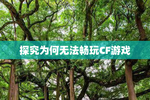 探究为何无法畅玩CF游戏图片