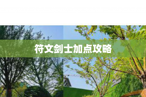 符文剑士加点攻略图片