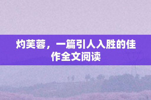 一篇引人入胜的佳作全文阅读图片