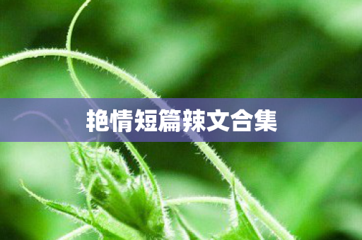 艳情短篇辣文合集图片
