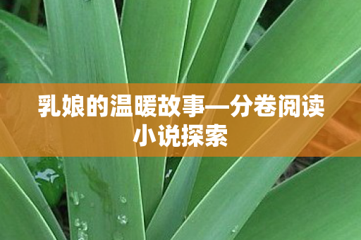 分卷阅读小说探索图片