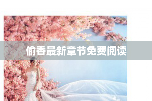 偷香最新章节免费阅读图片