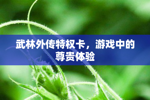 游戏中的尊贵体验图片