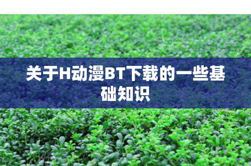 关于H动漫BT下载的一些基础知识图片