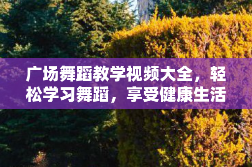 广场舞蹈教学视频大全图片