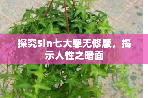 探究Sin七大罪无修版图片