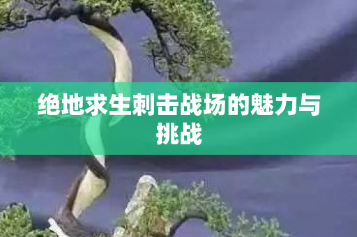 绝地求生刺击战场的魅力与挑战图片