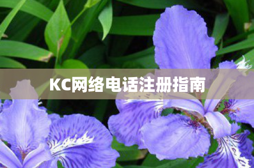 KC网络电话注册指南图片