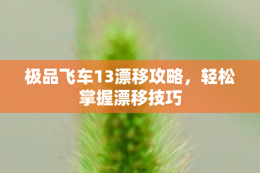 极品飞车13漂移攻略图片