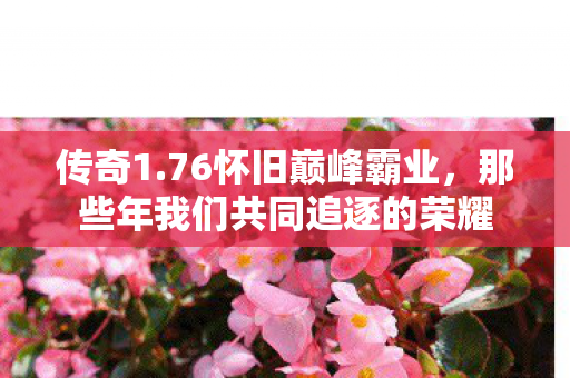 那些年我们共同追逐的荣耀图片