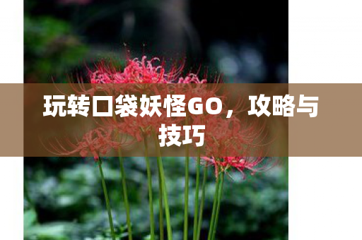 玩转口袋妖怪GO图片