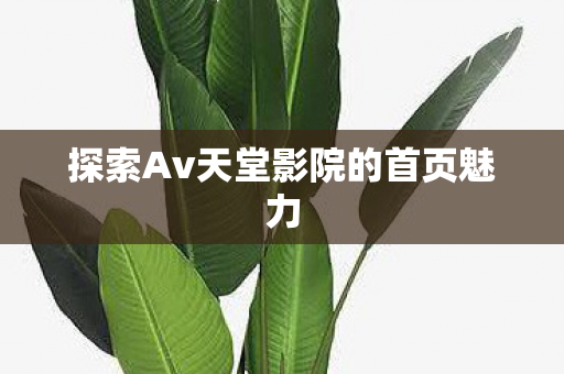 探索Av天堂影院的首页魅力图片