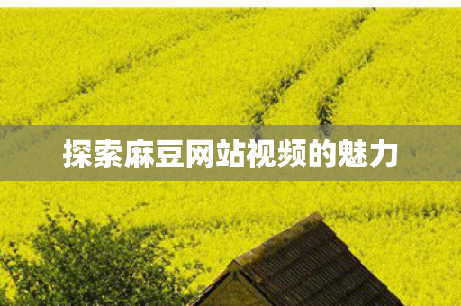 探索麻豆网站视频的魅力图片