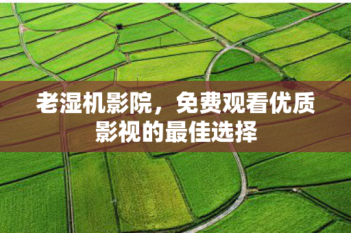 免费观看优质影视的最佳选择图片