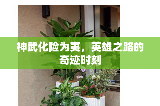 英雄之路的奇迹时刻图片