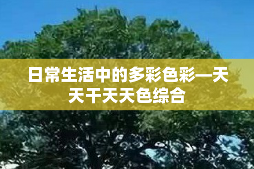 日常生活中的多彩色彩图片