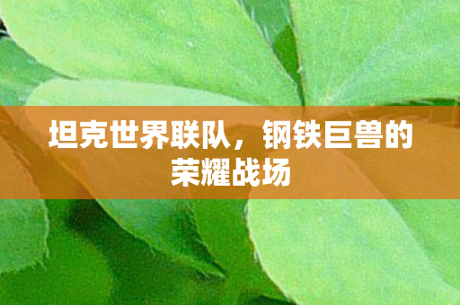 钢铁巨兽的荣耀战场图片