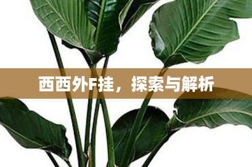 西西外F挂图片