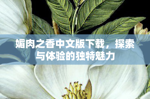 探索与体验的独特魅力图片