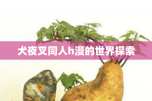 犬夜叉同人h漫的世界探索图片