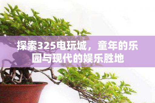 童年的乐园与现代的娱乐胜地图片