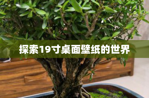 探索19寸桌面壁纸的世界图片