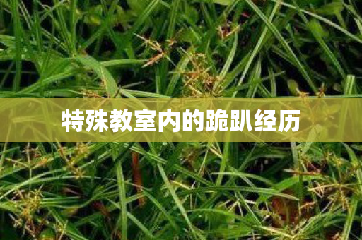 特殊教室内的跪趴经历图片
