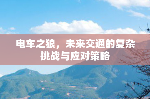 未来交通的复杂挑战与应对策略图片