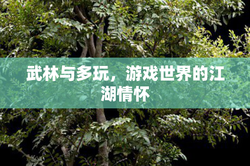 游戏世界的江湖情怀图片
