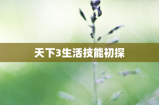 天下3生活技能初探图片