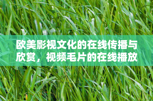 欧美影视文化的在线传播与欣赏图片