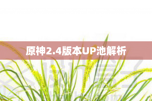 4版本UP池解析图片