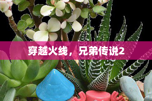 兄弟传说2图片