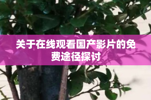 关于在线观看国产影片的免费途径探讨图片