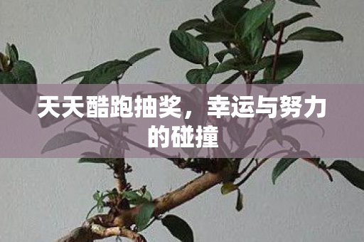 幸运与努力的碰撞图片