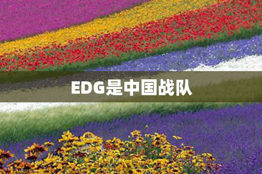 EDG是中国战队图片