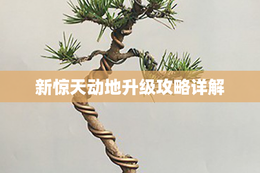 新惊天动地升级攻略详解图片