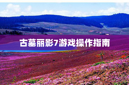 古墓丽影7游戏操作指南图片