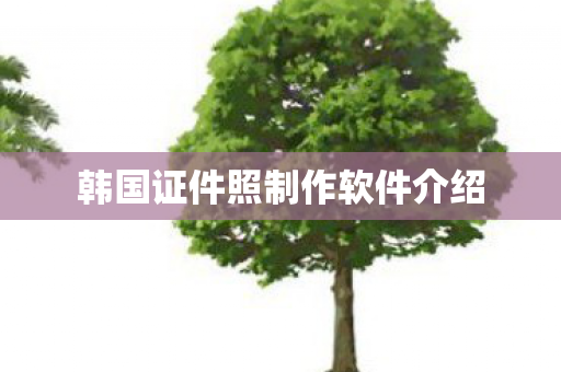 韩国证件照制作软件介绍图片