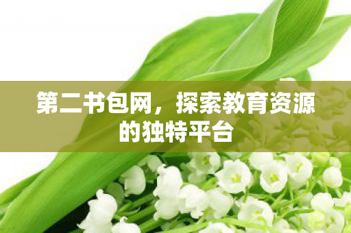探索教育资源的独特平台图片