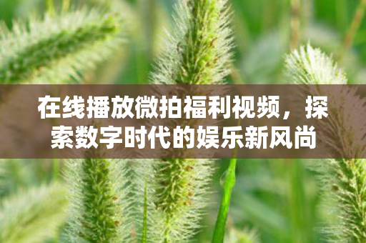 探索数字时代的娱乐新风尚图片