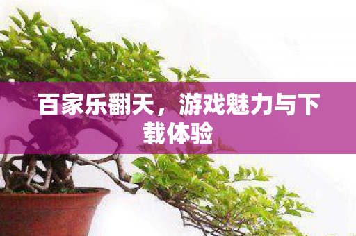 游戏魅力与下载体验图片