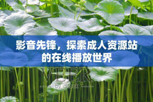 探索成人资源站的在线播放世界图片