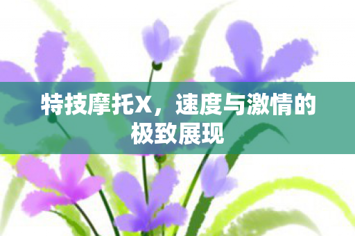 速度与激情的极致展现图片