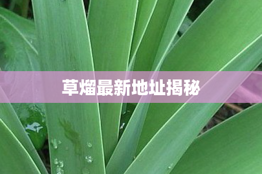 草熘最新地址揭秘图片
