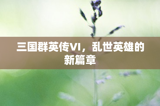 乱世英雄的新篇章图片